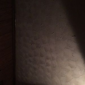 Meet your Posher, Frankie